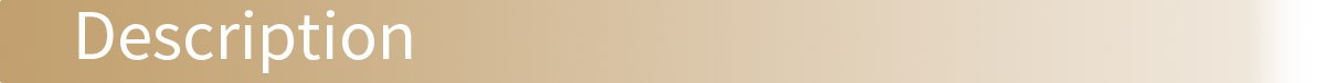 SeparatorTitle_Description SeparatorTitle_Description